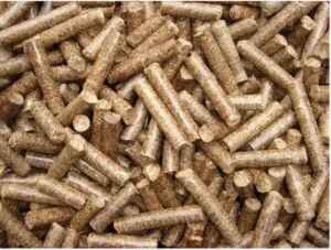 cao20su