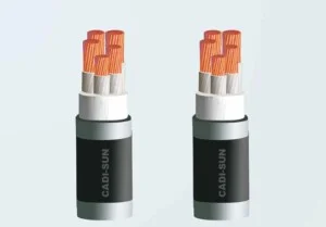 Công Ty TNHH FULLSHINE