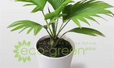 Công Ty CP Phúc Lộc Viên