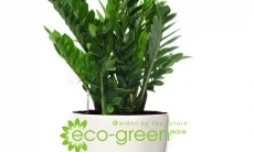 Công Ty CP Phúc Lộc Viên