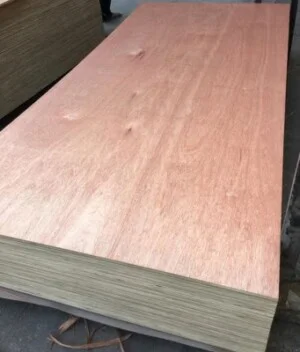 Commercial Plywood Bintangor Face Back Aa Grade