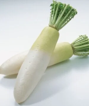 Dalat Vinfarm – Công Ty TNHH Dalat Vinfarm