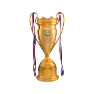 Quà Tặng Năm Châu – Công Ty Cổ Phần Đầu Tư Sao Việt Vĩnh Phúc