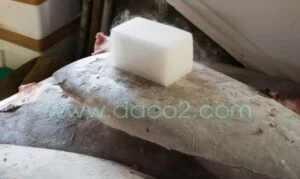 Natra Global – Bột SAP (Super Asorbent Polymer)