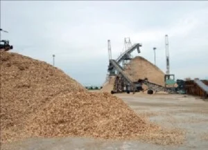 Công Ty TNHH Hào Hưng