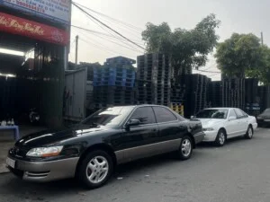 Ô Tô Cũ Đăng Thịnh Phát – Công Ty TNHH Dịch Vụ Công Nghiệp Đăng Thịnh Phát