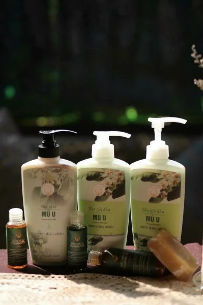 Tinh Dầu Mù U Nguyễn Thanh Vân – Cơ Sở ép Dầu Mù U Nguyễn Thanh Vân