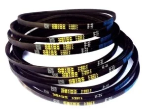 Dây Curoa Hàm Long – Công Ty TNHH Một Thành Viên Dịch Vụ Xây Dựng Hàm Long