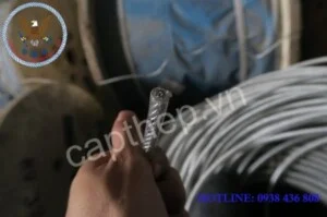 Creator: Gd Jpeg V1.0 (using Ijg Jpeg V62), Chất lượng = 99