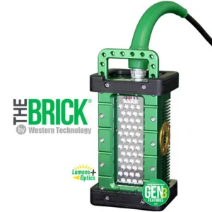 den-led-1