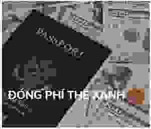 Dogn20phi20the20xanh