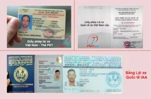 Dịch Thuật PNV – Công Ty TNHH Dịch thuật PNV