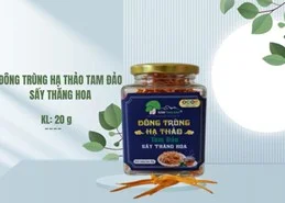 Hợp Tác Xã Nấm Tam Đảo