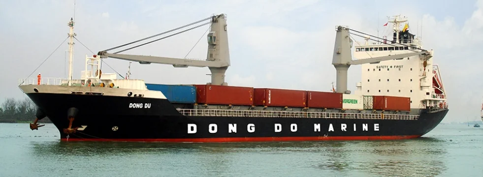 dongdu