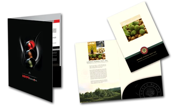 Bao Bì Long Thiên – Công Ty Cổ Phần Long Thiên