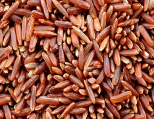 Gạo Gia Phú – Công Ty TNHH Nông Sản Gia Phú