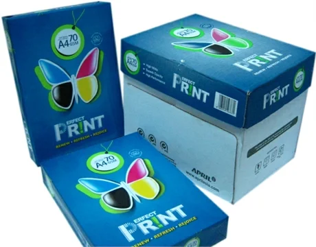 Văn Phòng Phẩm KN & TC – Chi Nhánh Công Ty Cổ Phần Thương Mại Dịch Vụ KN & TC