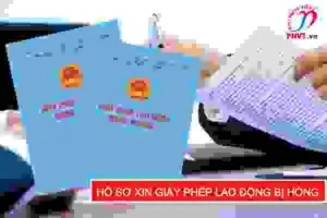 Dịch Thuật PNV – Công Ty TNHH Dịch thuật PNV