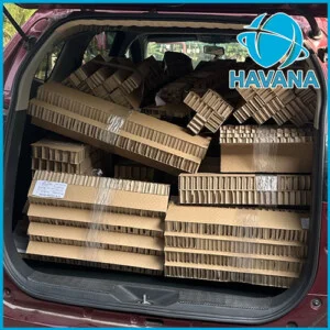 Giấy Tổ Ong Havana – Công Ty TNHH Thương Mại Sản Xuất Havana Việt Nam