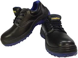 Công Ty TNHH Bảo Chi Lâm