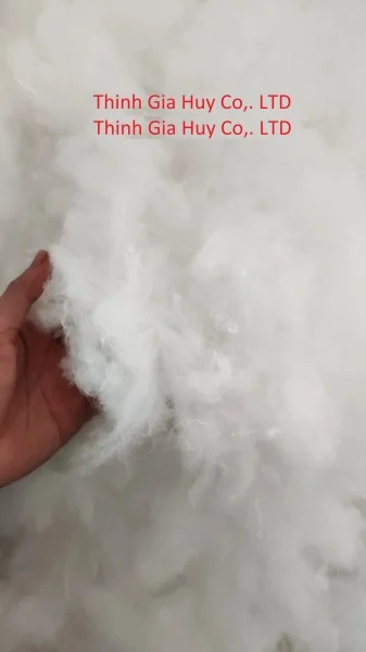 Vải Không Dệt Xăm Kim Thịnh Gia Huy – Công Ty TNHH Thịnh Gia Huy L.A