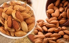 Hạt Dinh Dưỡng Kim Long Phát – Công Ty Cổ Phần PTS Kim Long Phát