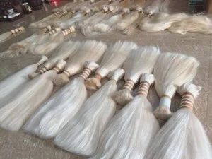 Tóc Giả Hazu – Công Ty TNHH Thương Mại Và Dịch Vụ Hazu