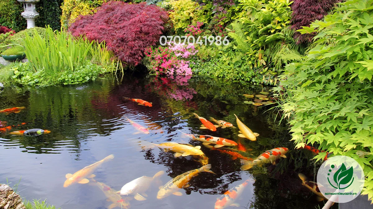 Thiết Kế Thi Công Cảnh Quan Quốc Anh – Công Ty CP Cảnh Quan Sân Vườn Quốc Anh