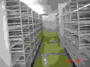 Kệ Mytek – Công Ty Cổ Phần Công Nghiệp Mytek