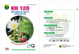 Công ty TNHH Hoàng Diên