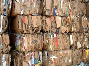 Thang Máy VNDB Sài Gòn – Công Ty TNHH Thiết Kế Xây Dựng VNDB Sài Gòn