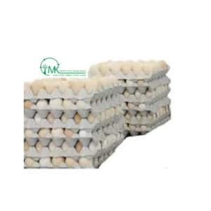 MKL Paper Pulp Mouldings – Công Ty TNHH MKL Paper Pulp Mouldings Việt Nam