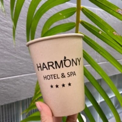 Ly Giấy, Tô Giấy RVC – Công Ty TNHH RVC