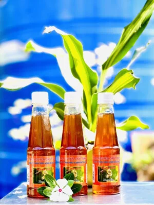Mật Ong Thanh Bình – Công Ty TNHH TM DV & SX Dầu Dừa Thanh Bình