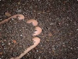 Công Ty Công Nghệ Môi Trường Anh Đức