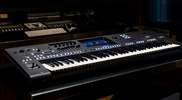 Công Ty TNHH Thương Mại Hoàng Huy