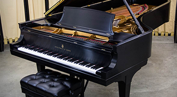 Công Ty TNHH Thương Mại Hoàng Huy