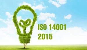 TVQ Việt Nam – Công Ty TNHH Công Nghệ TVQ Việt Nam