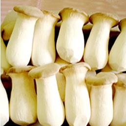 Công Ty TNHH Thực Phẩm Vương Liên