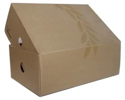 Bao Bì Giấy Chơn Thành – Công Ty TNHH Bao Bì Chơn Thành