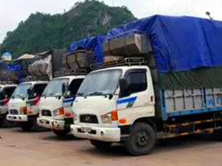 Chi Nhánh – Công Ty TNHH Thương Mại Dịch Vụ ánh Ngọc Phát