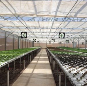 Công Ty TNHH Hydroworks