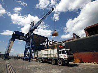 Chi Nhánh – Công Ty TNHH Thương Mại Dịch Vụ ánh Ngọc Phát