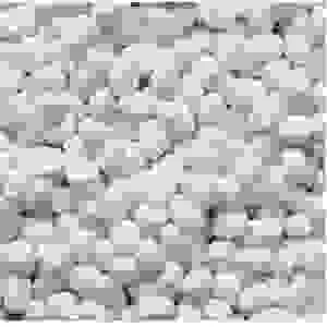 Công Ty TNHH SX DV TM Bảo Hộ Lao Động Tín Phát