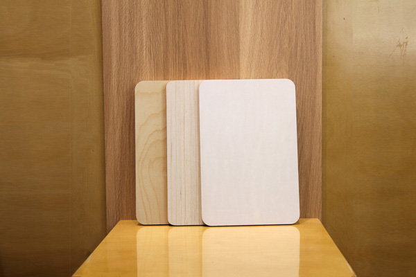 6-Van-ep-veneer-1