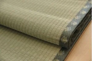 Công Ty TNHH Sản Xuất Thương Mại Và Xuất Khẩu Cói Xanh