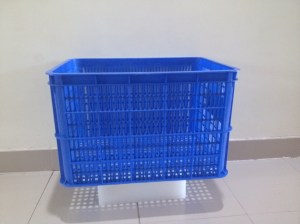 Công Ty Cổ Phần AIP Quốc Tế