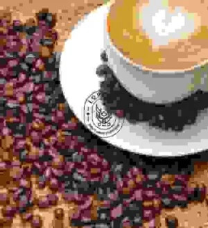 LOPHAFE – Công Ty TNHH Sản Xuất – Thương Mại – Dịch Vụ Long Phan