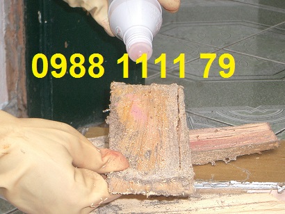 CIMG33681