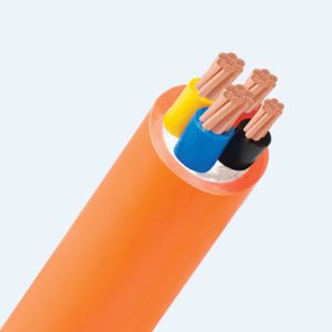 Công Ty Cổ Phần Hinoki Vina